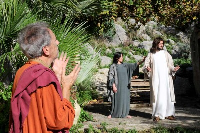GESU’ SALVA CHI SOFFRE